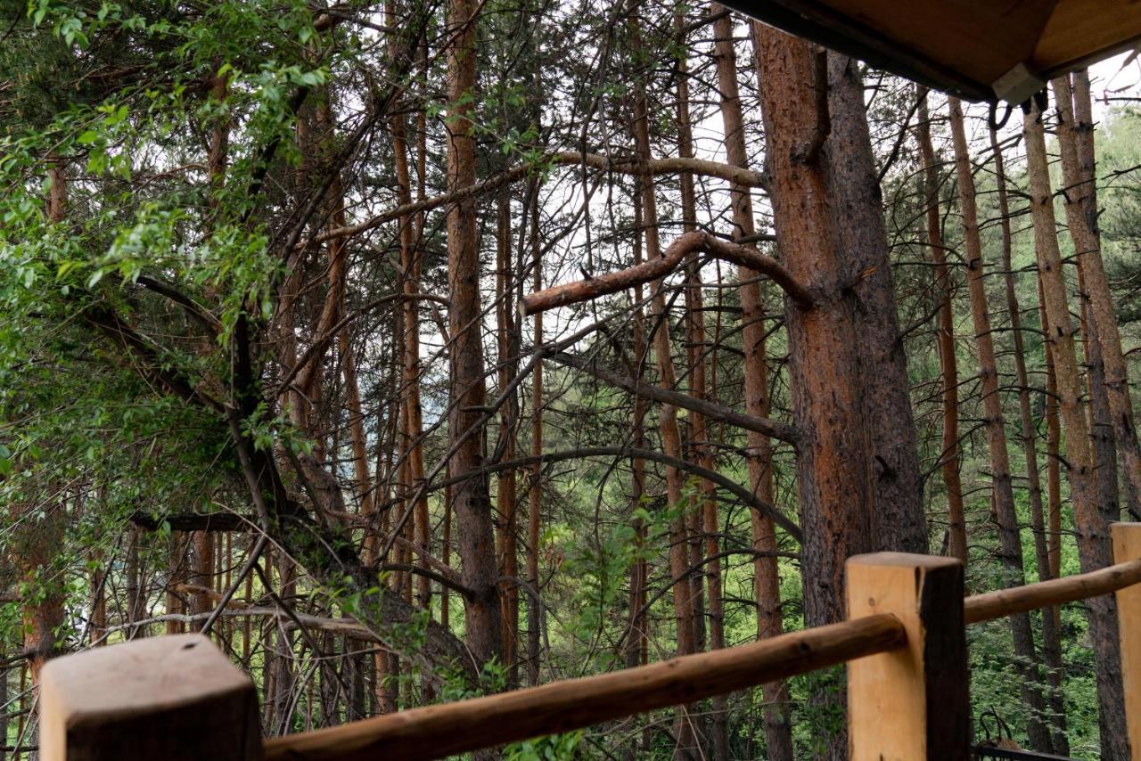 Qazaq Auyl Eco Hotel Almaty Eksteriør bilde