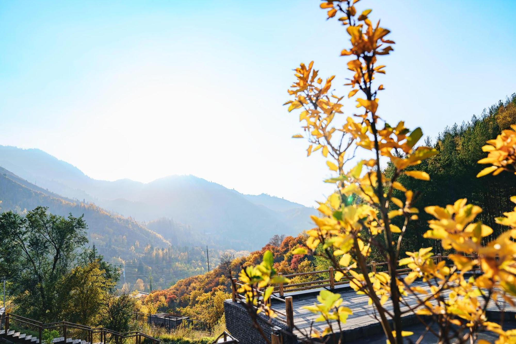 Qazaq Auyl Eco Hotel Almaty Eksteriør bilde