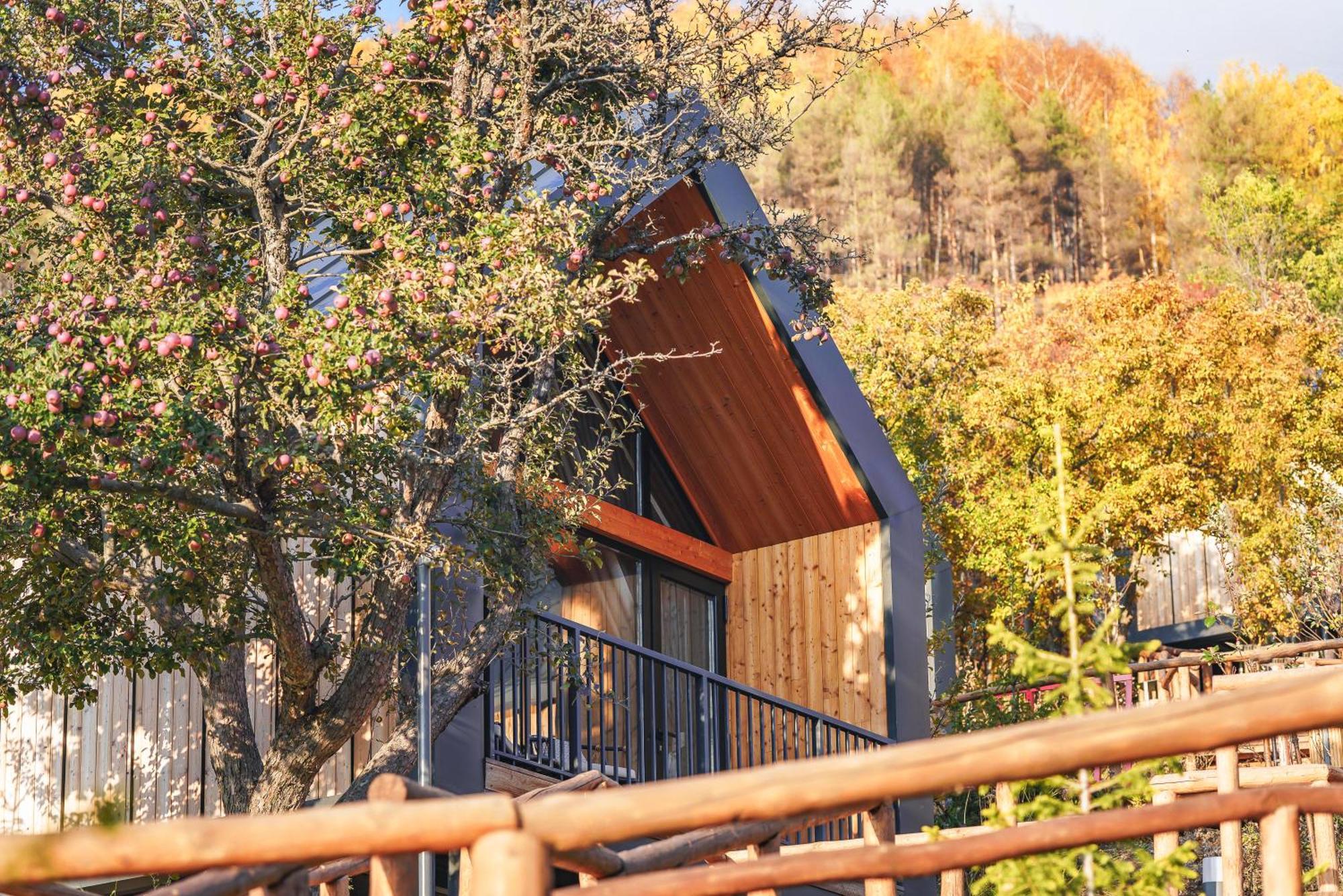 Qazaq Auyl Eco Hotel Almaty Eksteriør bilde